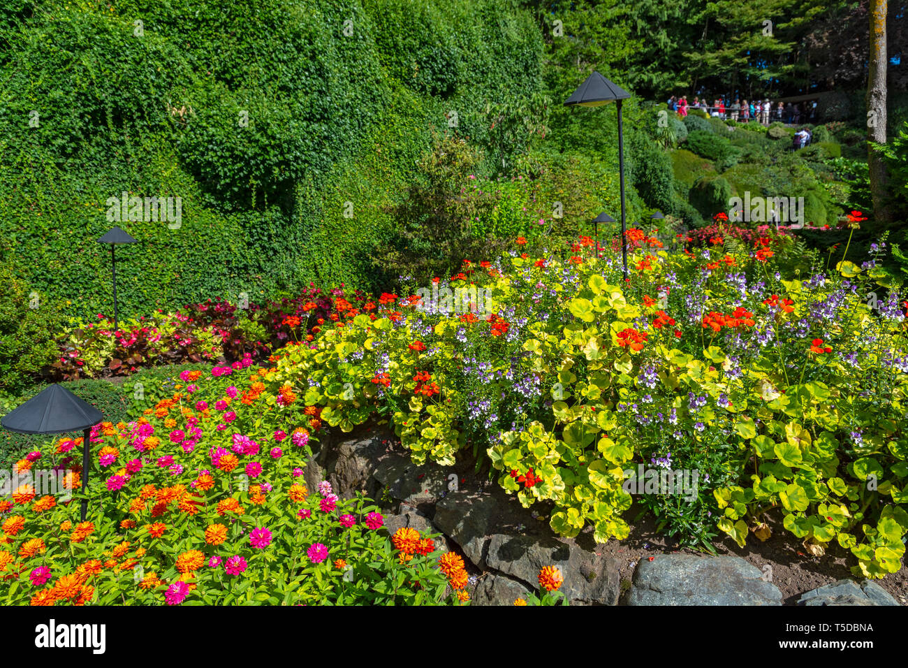 Canada, Brentwood Bay, Butchart Gardens, jardin en contrebas Banque D'Images