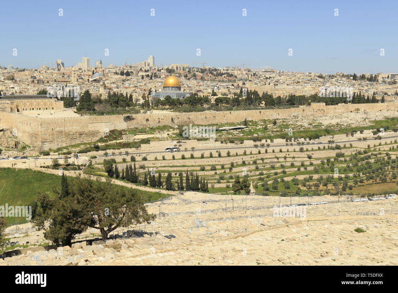 Avis de Jérusalem ,olives,montage et cimetière juif Banque D'Images