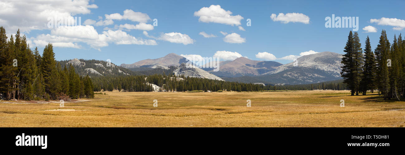 Tuolomne Meadows, Yosemite National Park, California, USA. Banque D'Images