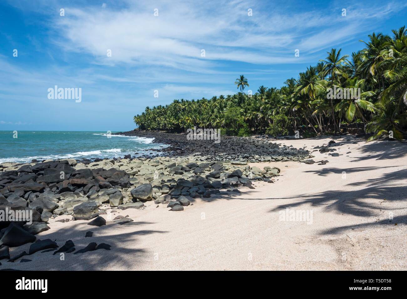 Palmier sur une plage de sable sur l'île Saint Joseph, îles du salut, en Guyane Banque D'Images Palmier sur une plage de sable sur l'île Saint Joseph, îles du salut, en Guyane Banque D'Images