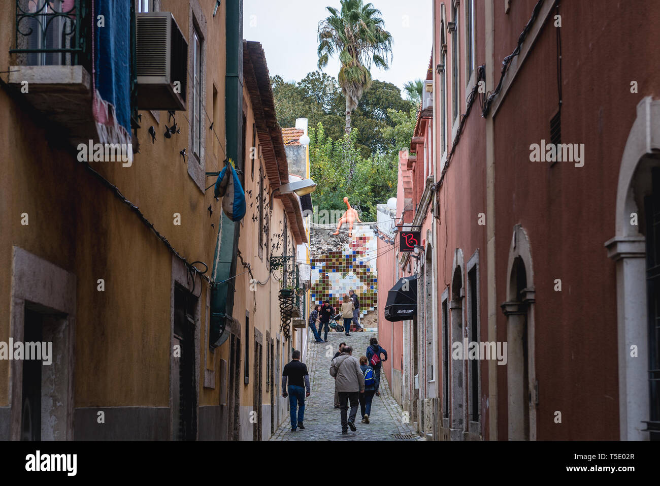 Marta Pinto rue étroite à Belem de Lisbonne, Portugal, vue d'arbres dans le Jardin Botanique Tropical Banque D'Images