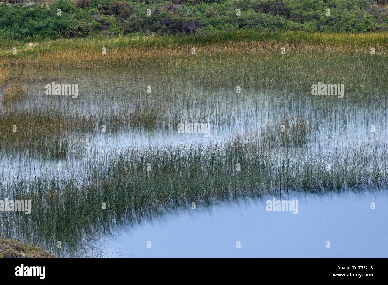 NP Torres del Paine, le lac Nordenskjold, Chili Banque D'Images