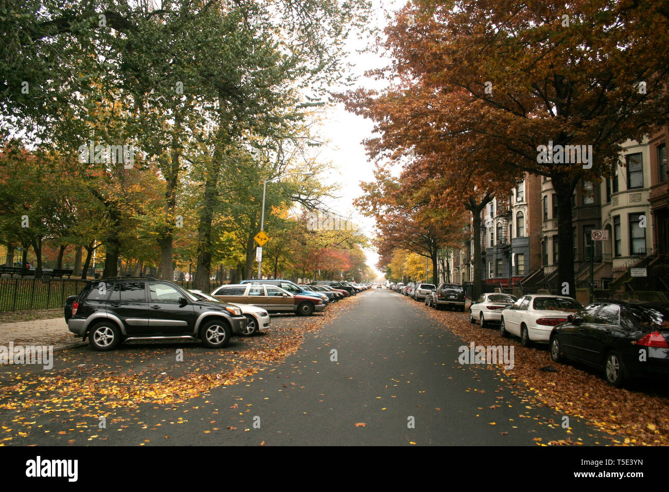 Rue calme dans le quartier de Crown Heights à Brooklyn, New York City, USA Banque D'Images