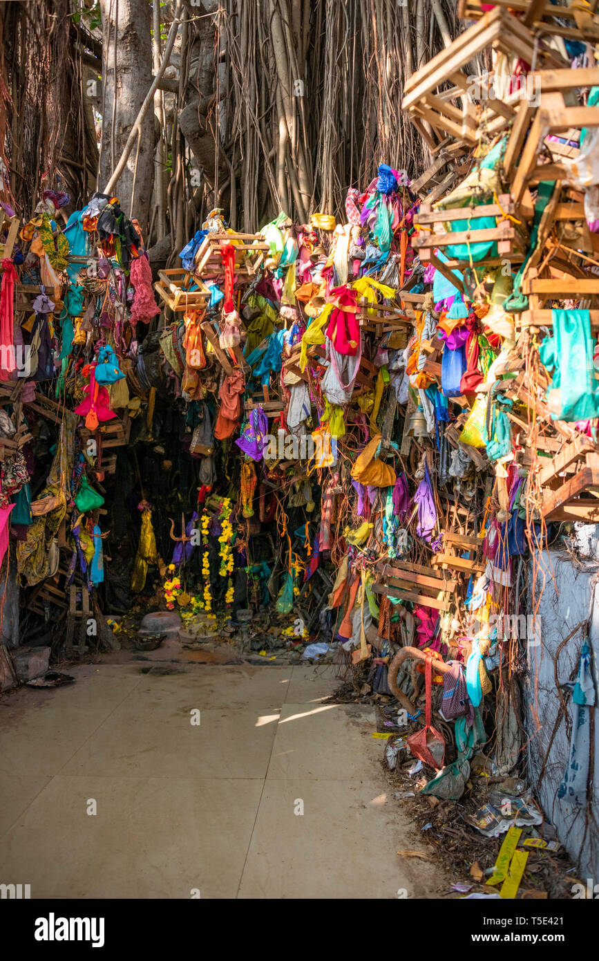 Close up vertical d'un Wishing Tree à Rameswaram, Inde. Banque D'Images