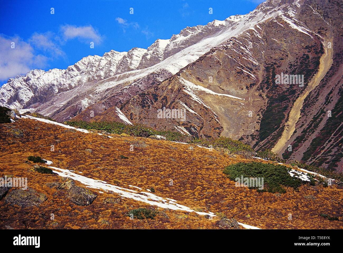 Plaques de neige fraîche sur les collines herbeuses sur chemin de Pachhu Glacier, Uttarakhand, Inde, Asie Banque D'Images