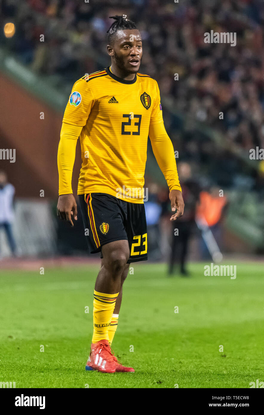 Bruxelles, Belgique - le 21 mars 2019. L'équipe nationale de football Belgique Michy Batshuayi gâche pendant l'UEFA Euro 2020 Belgique match de qualification contre la Russie Banque D'Images