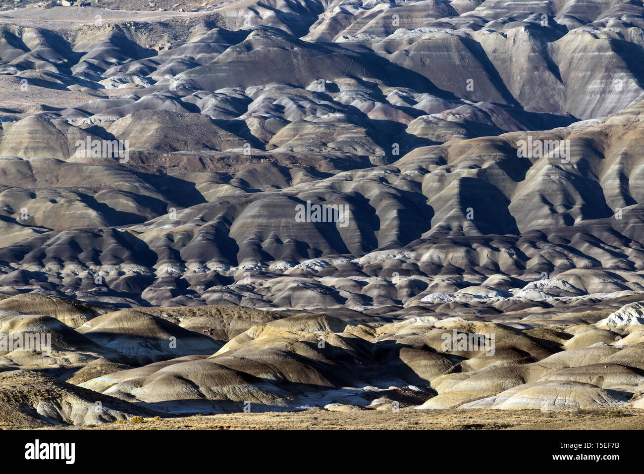 Bad Lands, Los Glaciares, Argentine NP Banque D'Images