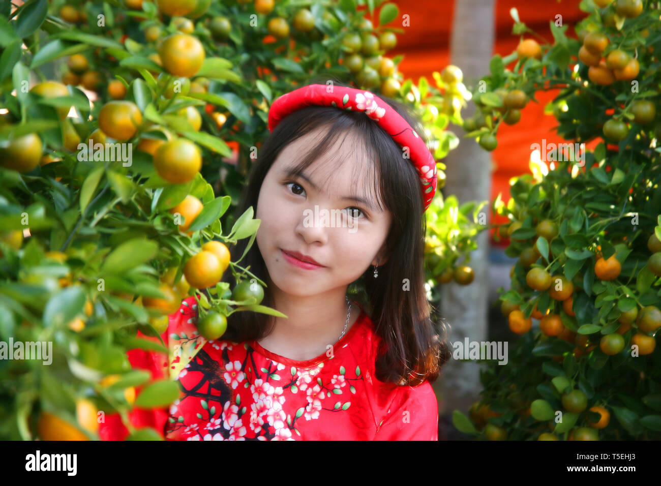 La jeune fille s'effondra la tête de poser pour une photo du nouvel an Banque D'Images