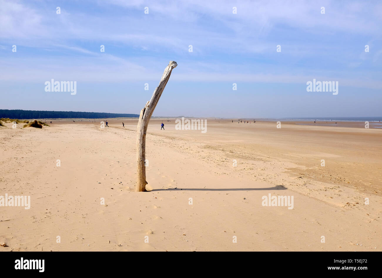Holkham beach, North Norfolk, Angleterre Banque D'Images
