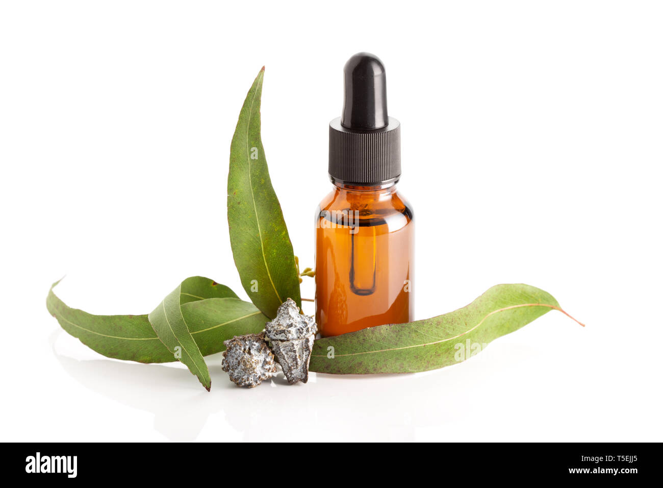 Huile essentielle Eucalyptus isolé sur fond blanc. L'huile d'Eucalyptus flacon en verre avec compte-gouttes Banque D'Images