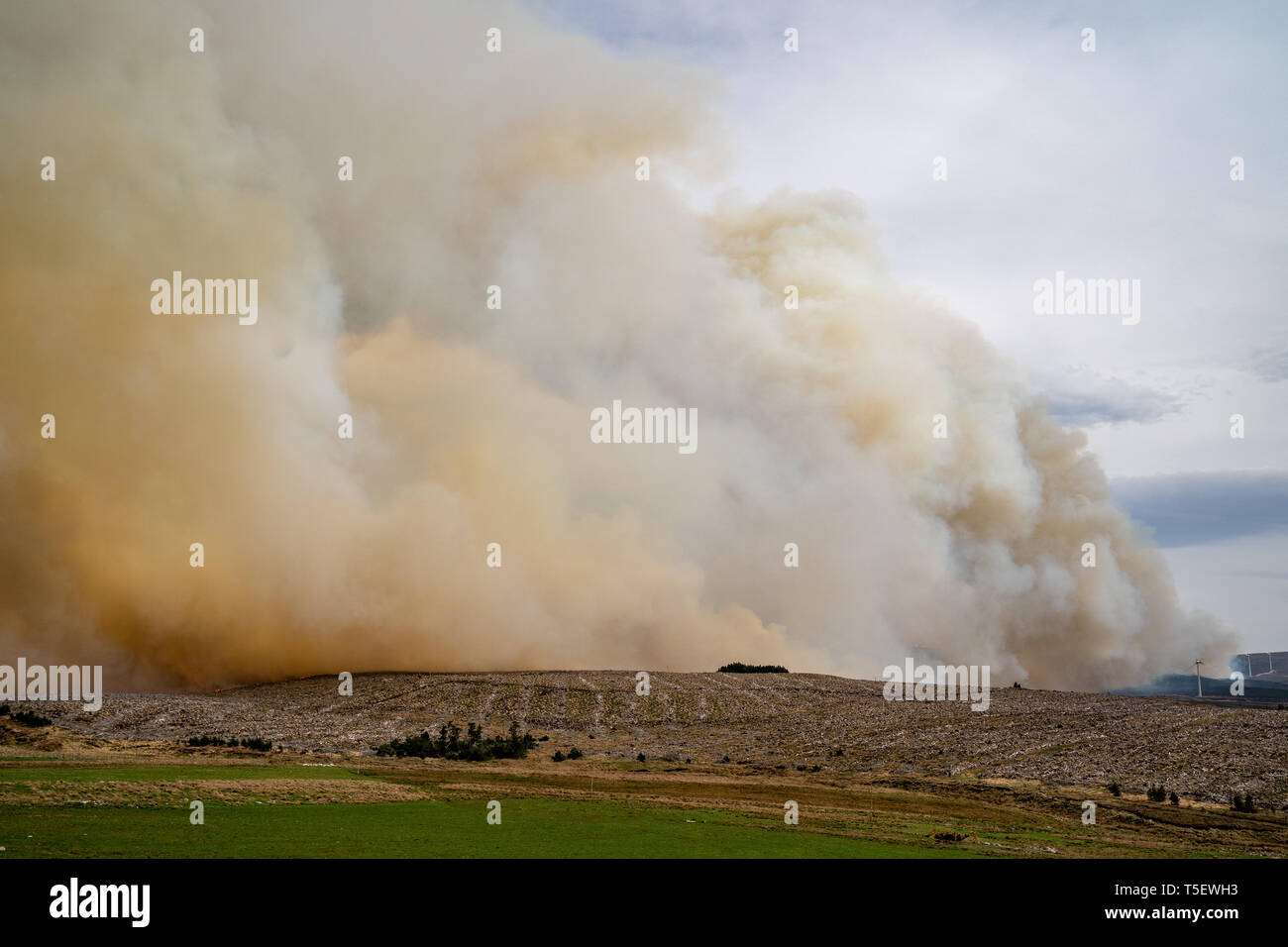 C'est de la rage de forêt s'étendant entre Knockando et Dunphail dans Moray, en Écosse, le mardi 23 avril 2019. Banque D'Images