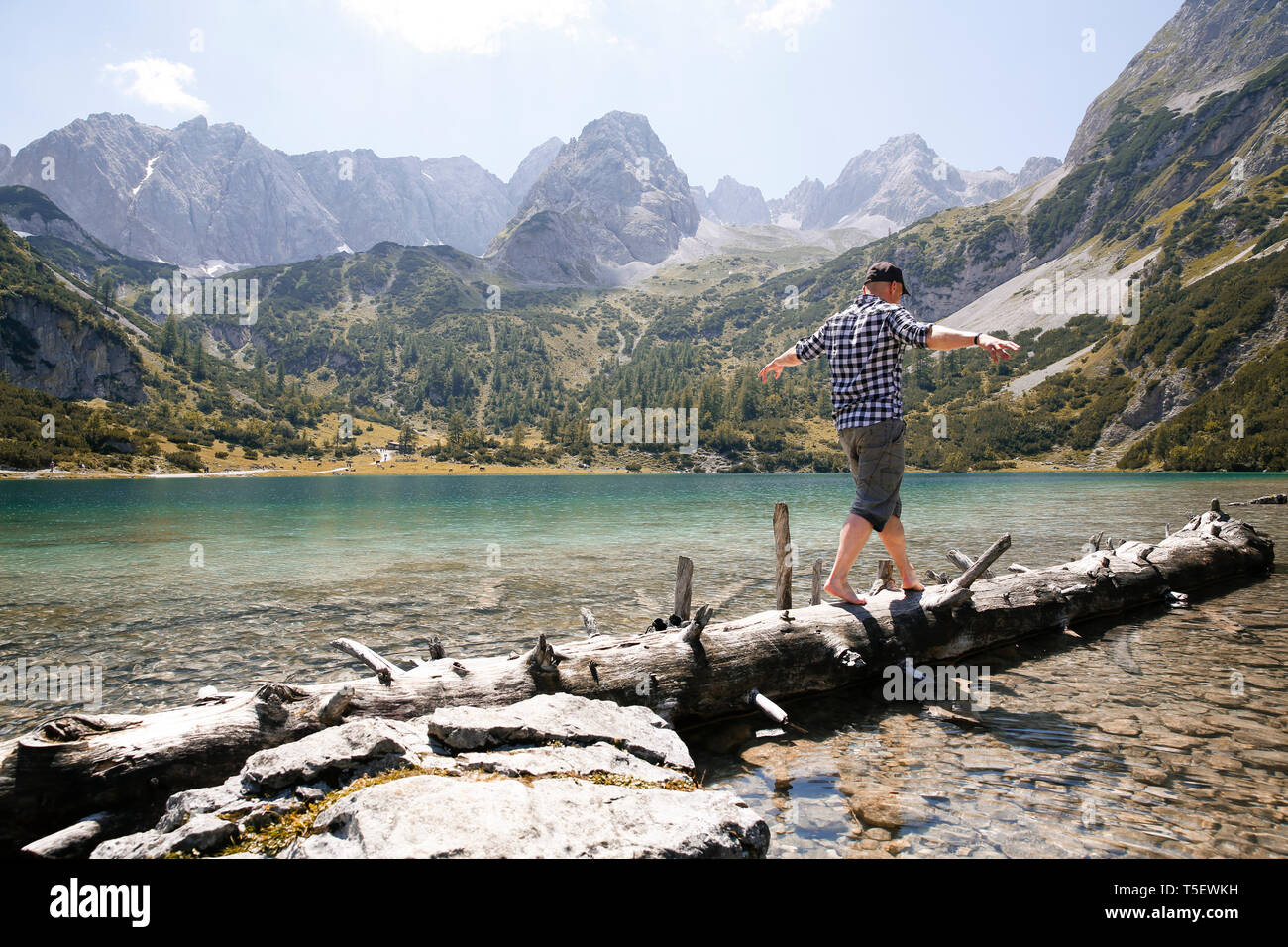 L'Autriche, le Tyrol, l'homme en équilibre sur tronc d'arbre au lac Seebensee Banque D'Images