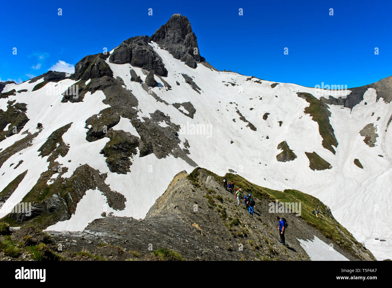 Les alpinistes l'ordre croissant à la Cabane Rambert, crête Petit Muveran derrière, Ovronnaz, Valais, Suisse Banque D'Images