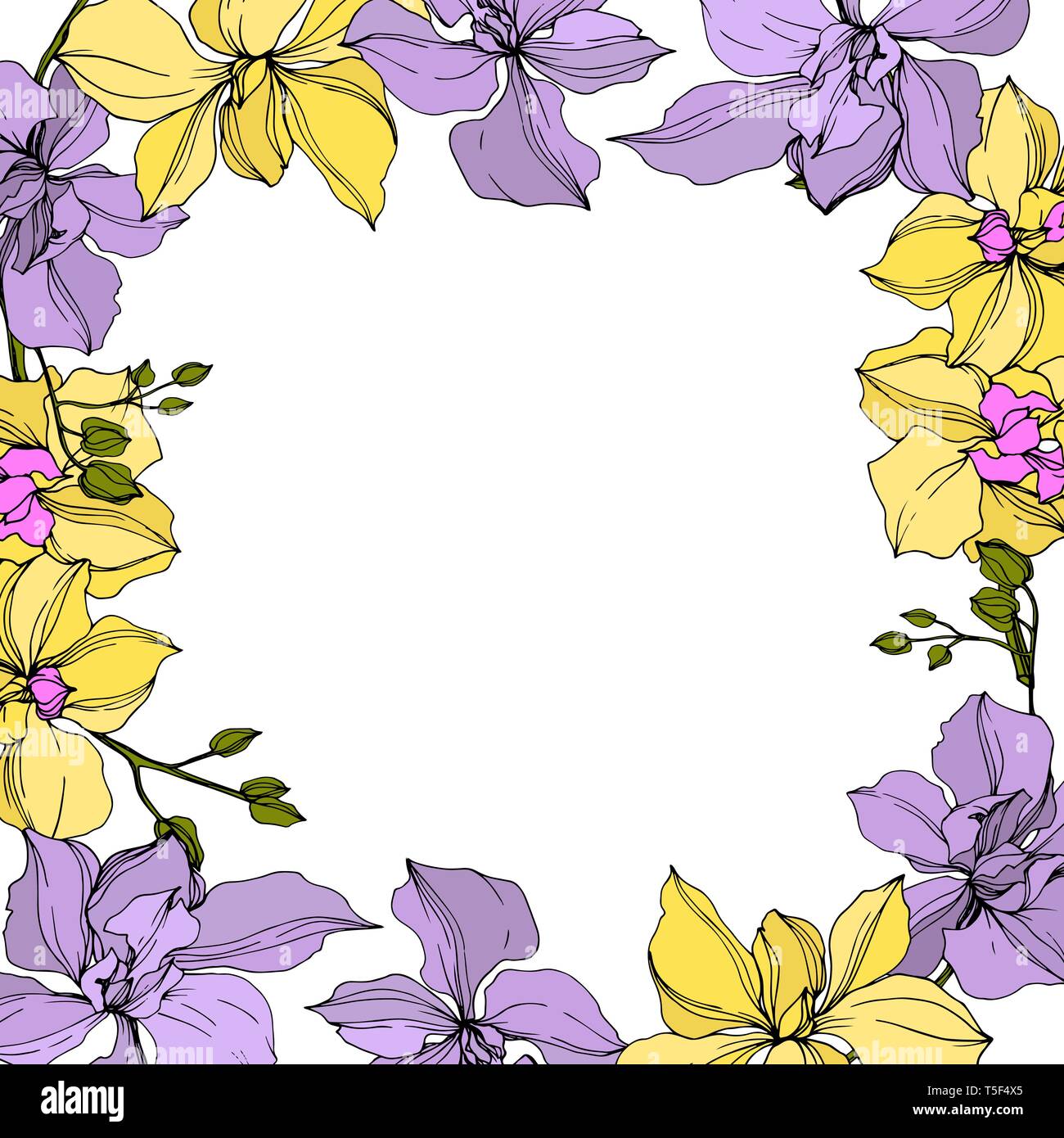 Vector floral fleurs orchidées botaniques. Lame de ressort sauvages isolés de fleurs sauvages. Jaune et violet encre gravée art. bordure de cadre carré ornement sur whit Illustration de Vecteur