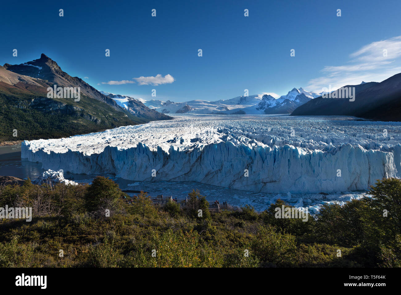 Le Glacier Perito Moreno, Argentine, NP Los Glaciares Banque D'Images