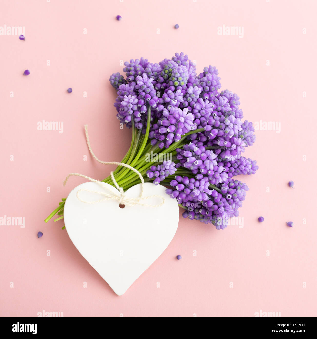 Joyeux Anniversaire Sur Fond De Fleurs De Mauve Photo Stock Alamy