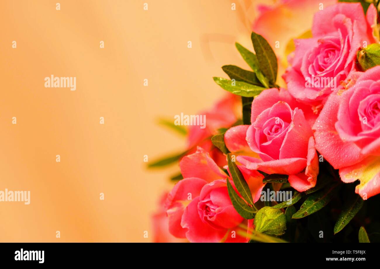 Mariage Rose bouquet de mariée bouquet de fleurs Banque D'Images