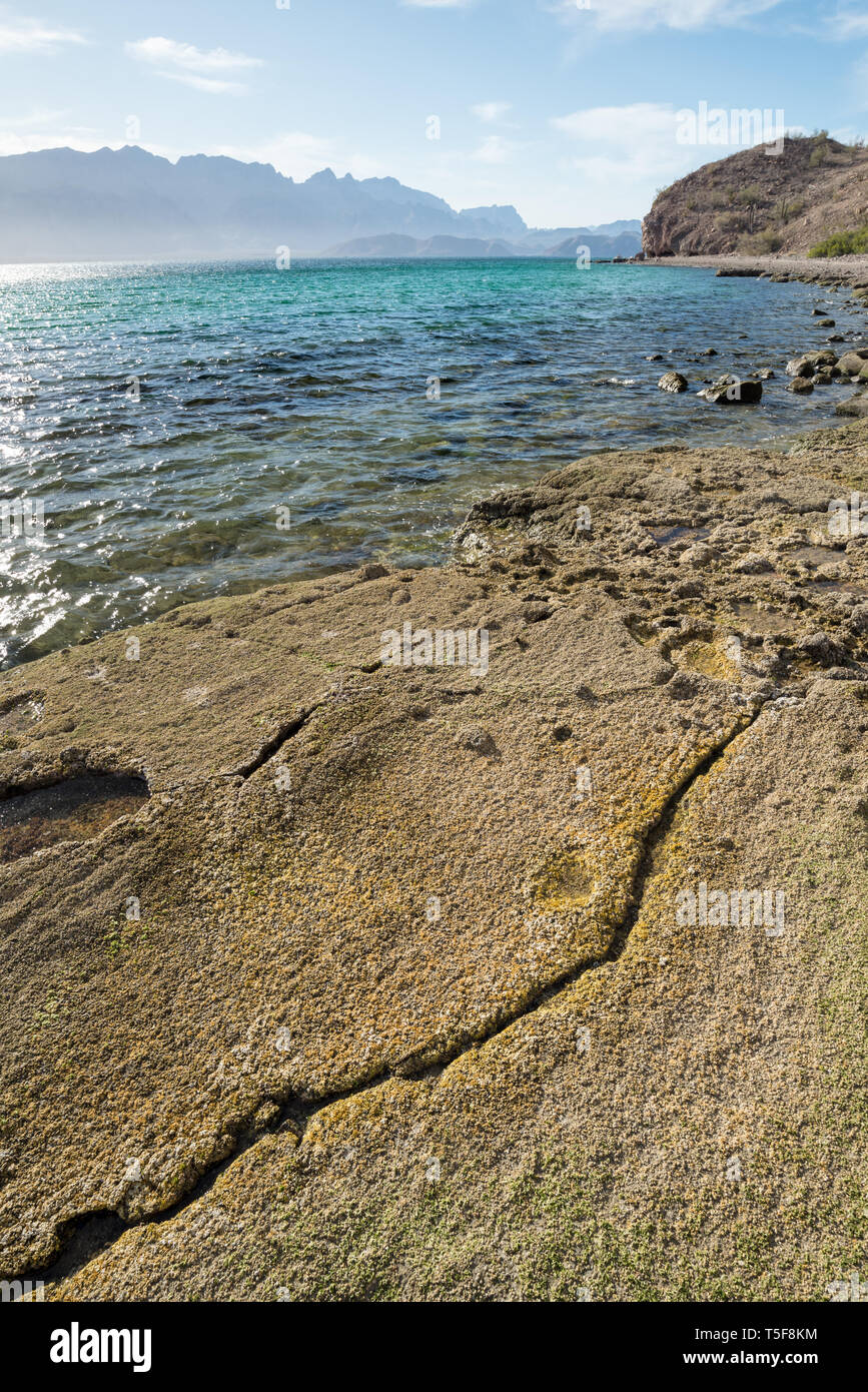 Côte de l'île de Danzante de Loreto, Nat. Park Baja California Sur, au Mexique. Banque D'Images