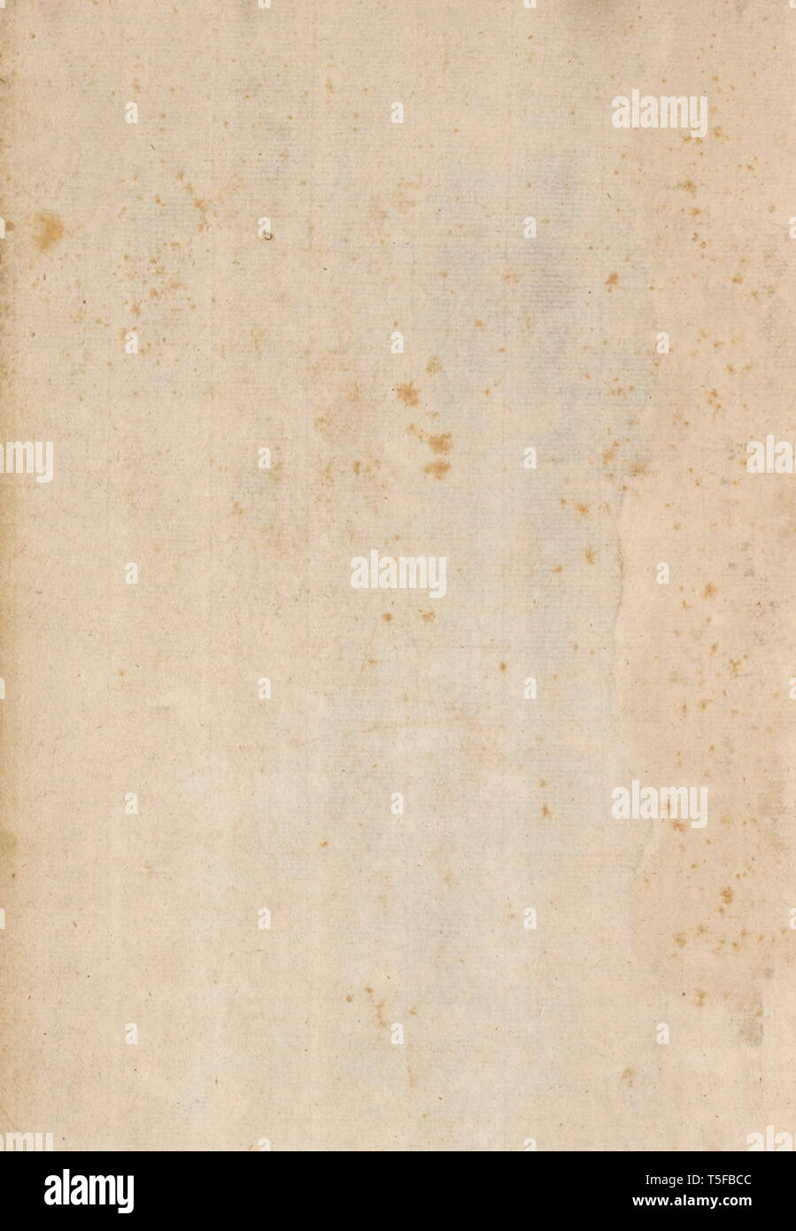 Grunge background (du 16ème siècle) avec l'espace pour le texte ou l'image Banque D'Images