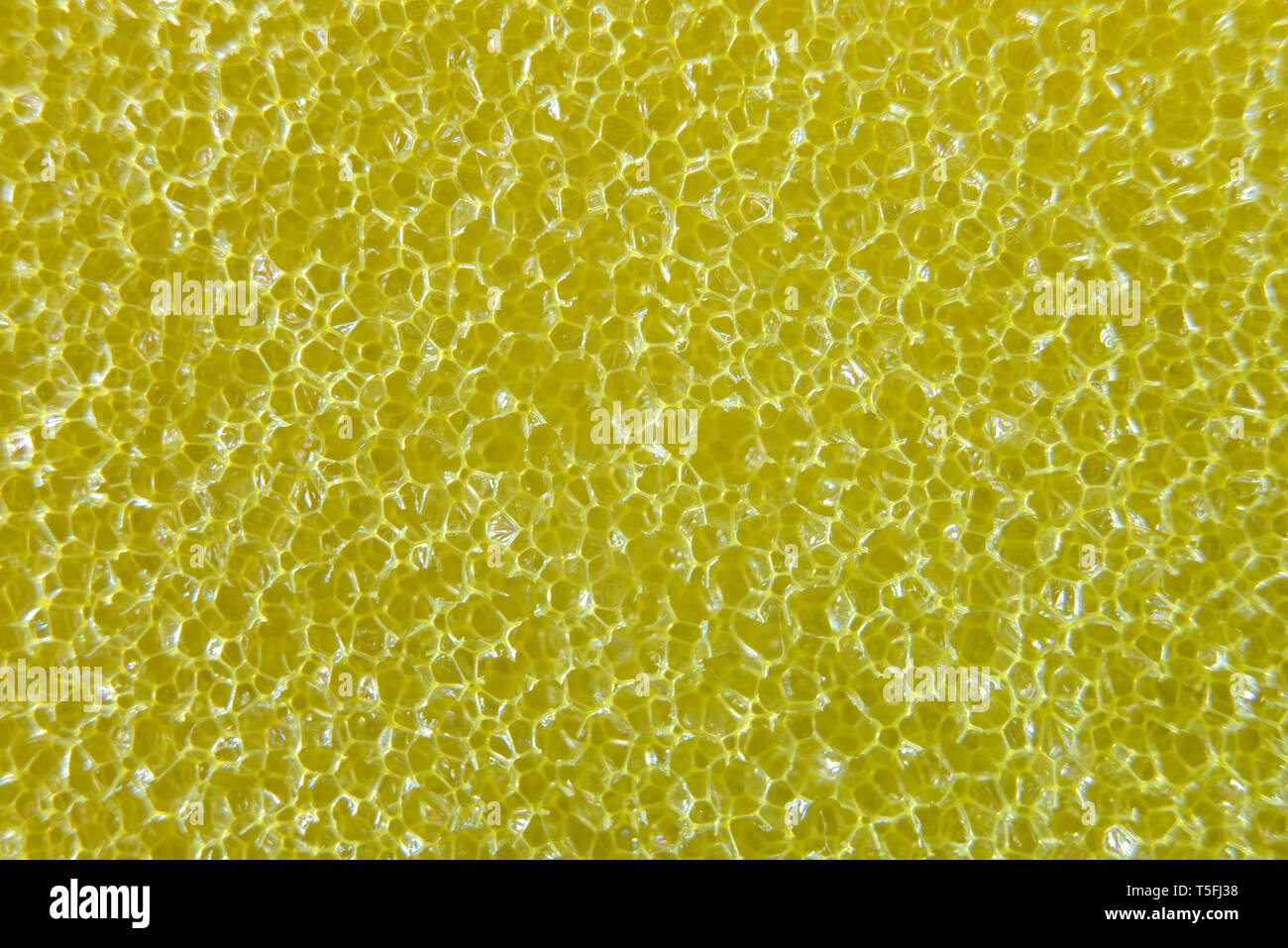 Macro éponge jaune close-up texture rugueuse Banque D'Images