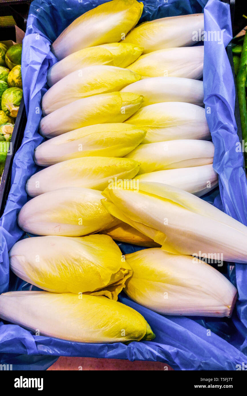 Têtes de chicorée d'endives belges fraîches exposées dans une caisse bordée de bleu sur un marché fermier à Valence, en Espagne Banque D'Images