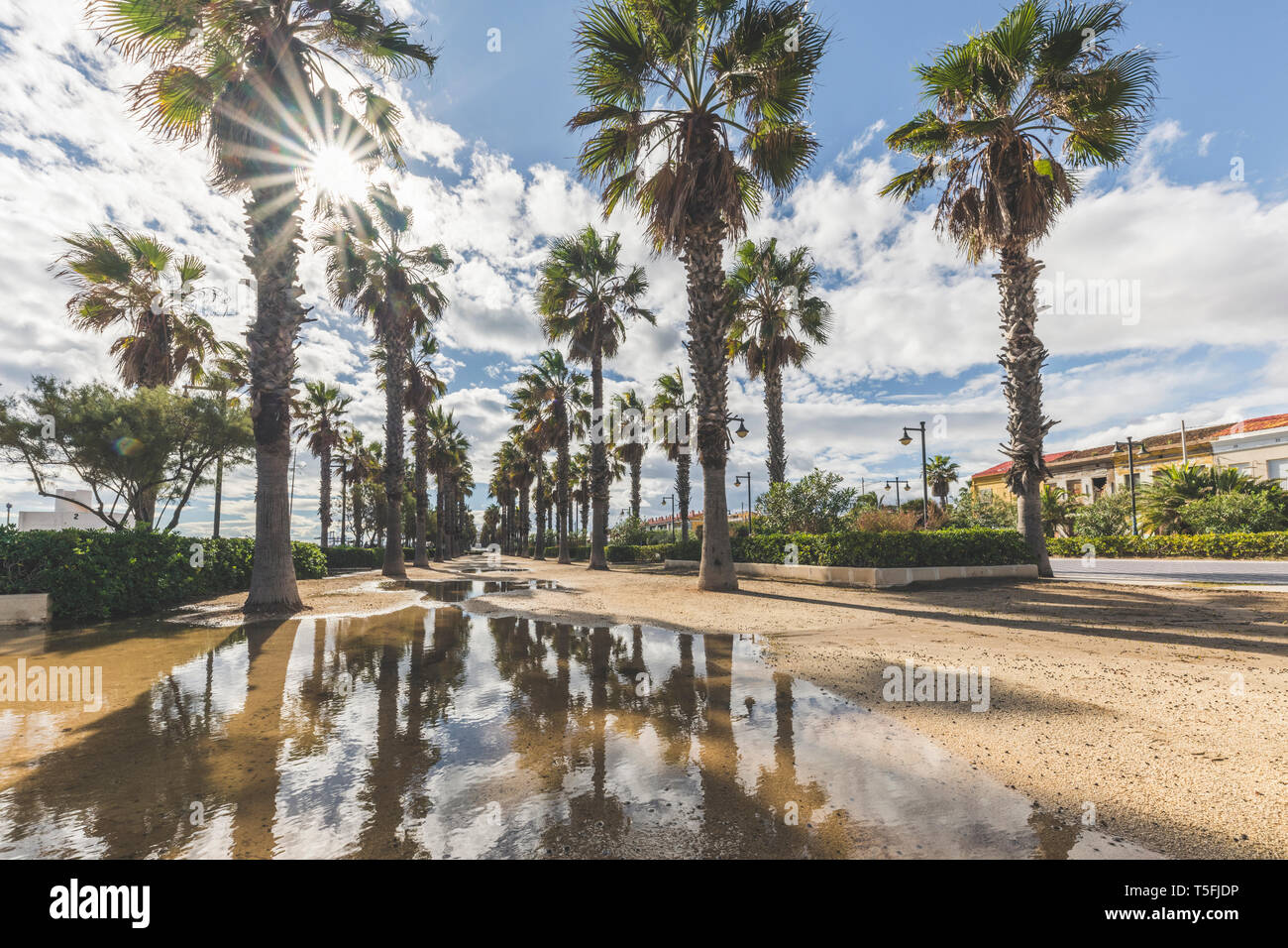 L'espagne, Valence, El Cabanyal, vue d'El Micalet promenade bordée de palmiers et Banque D'Images