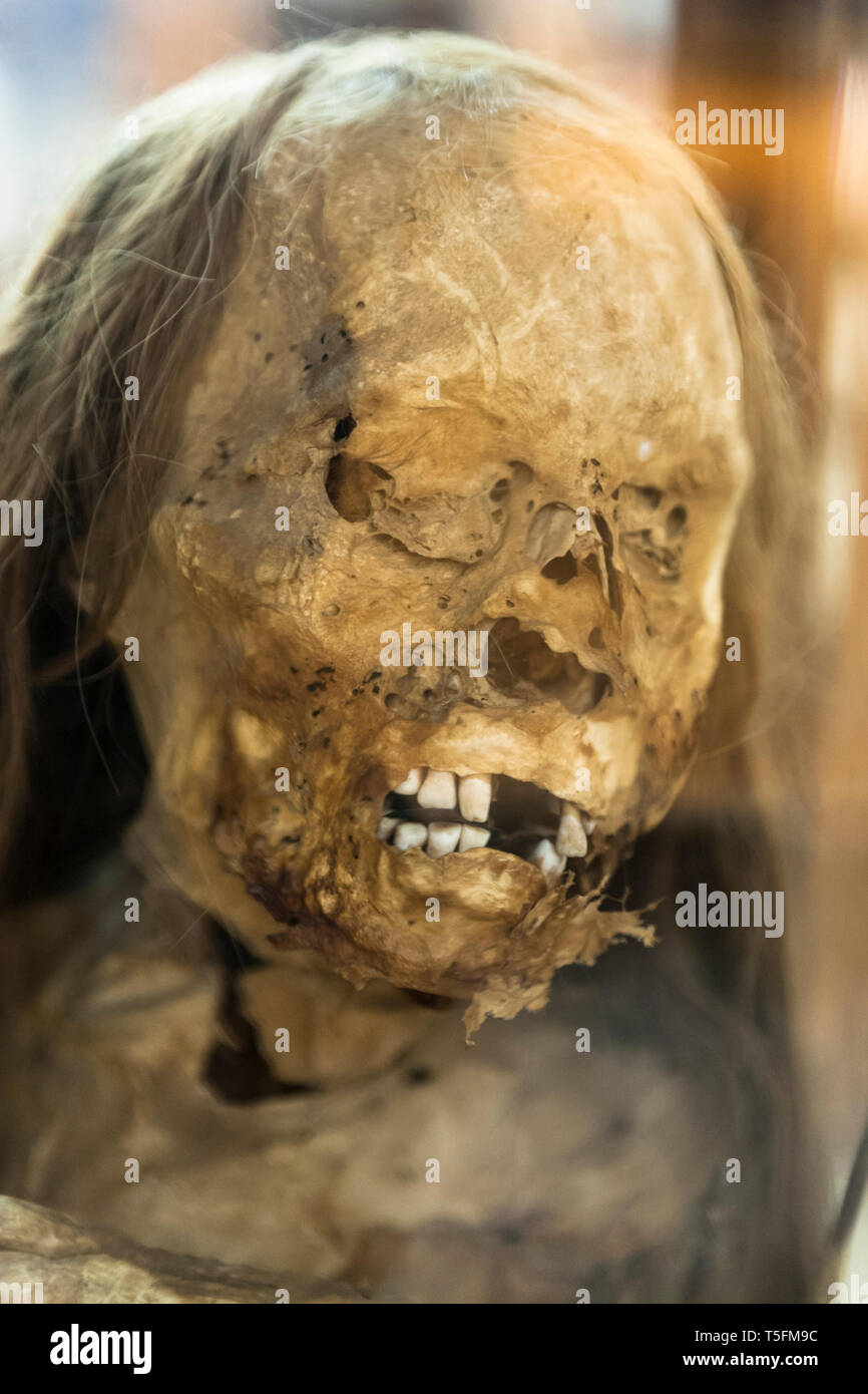 16e siècle, l'enfant momie péruvienne Museu Arqueológico do Carmo, Lisbonne, Portugal Banque D'Images