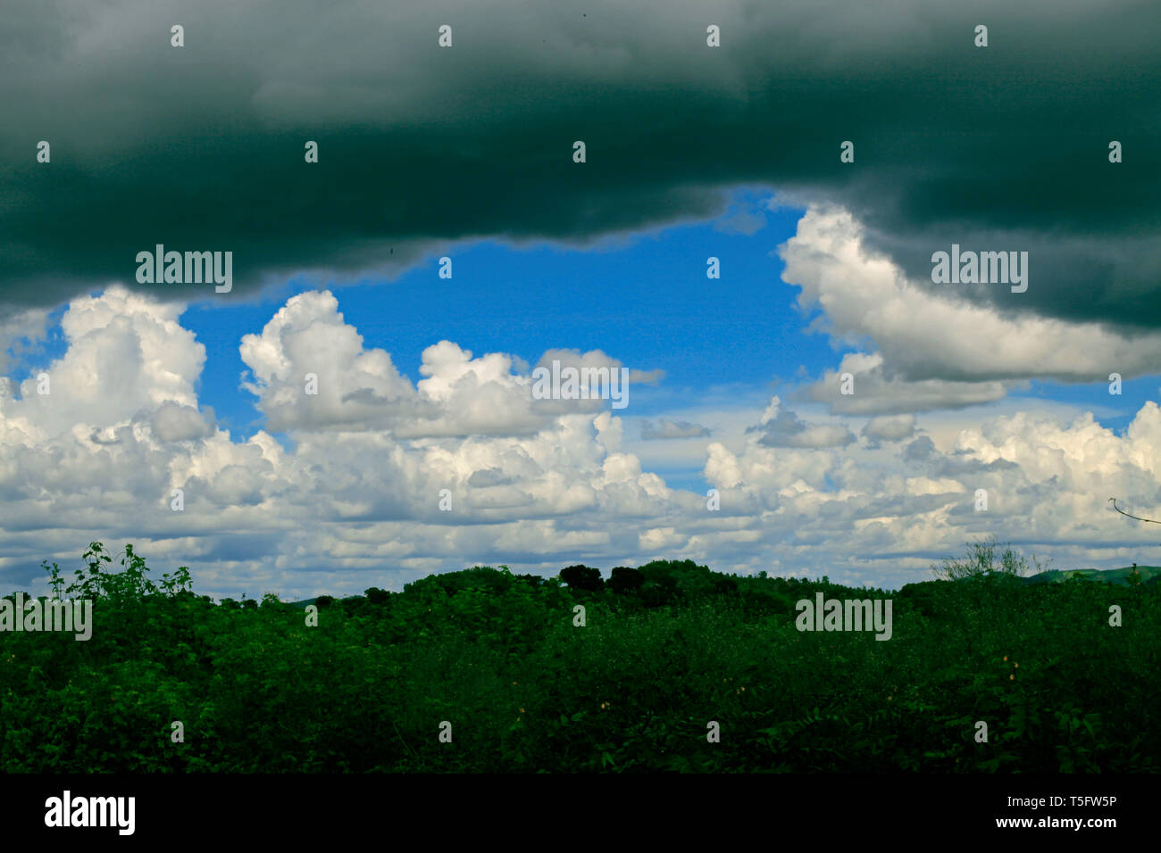 Paysage, jagdalpur chhattisgarh, Inde, Asie Banque D'Images Paysage, jagdalpur chhattisgarh, Inde, Asie Banque D'Images