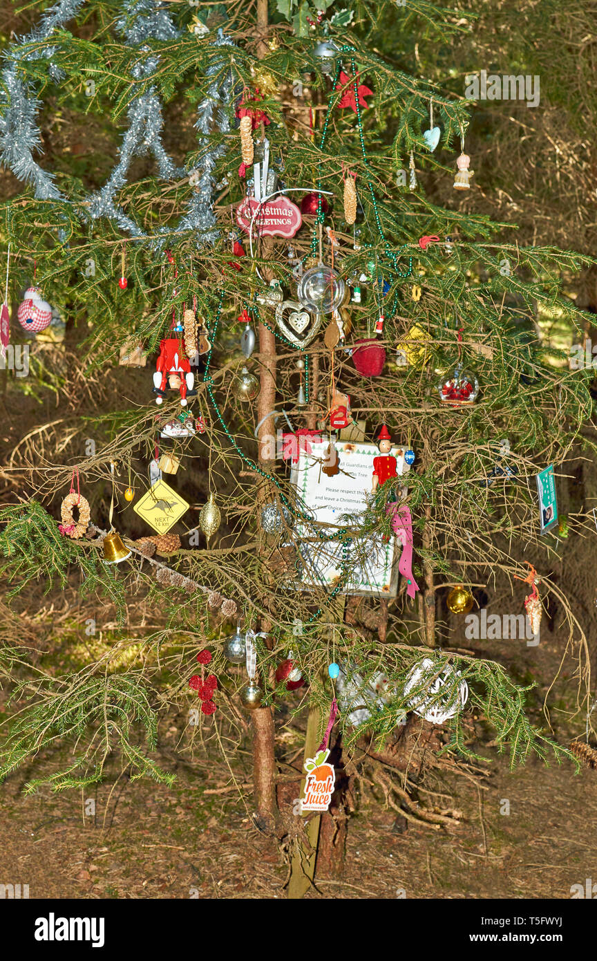 Scottish Santa avec cornemuse Arbre de Noël Ornement