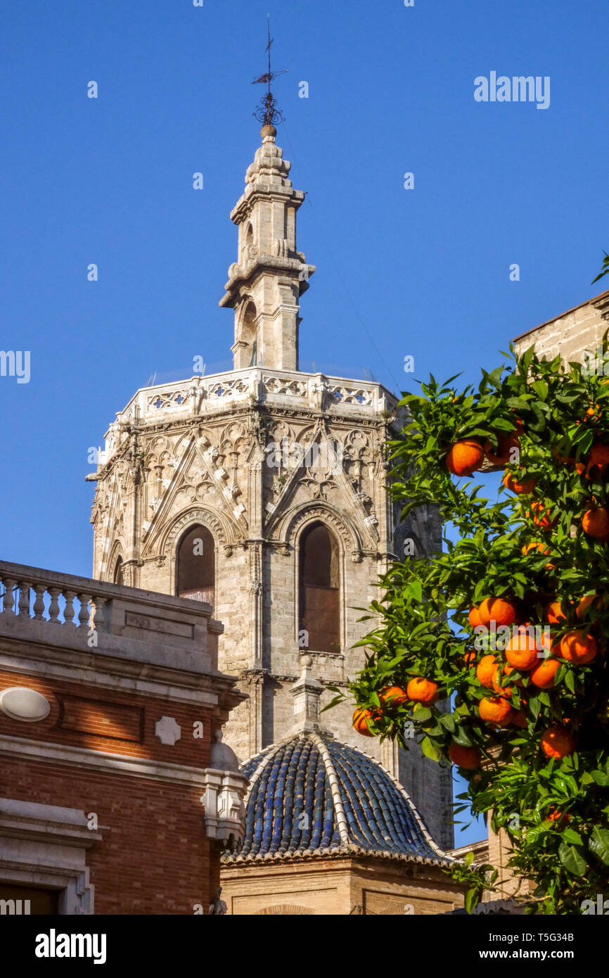 Tour El Miguelet, tour de la cathédrale de Valence, Espagne arbre orange de Valence Banque D'Images