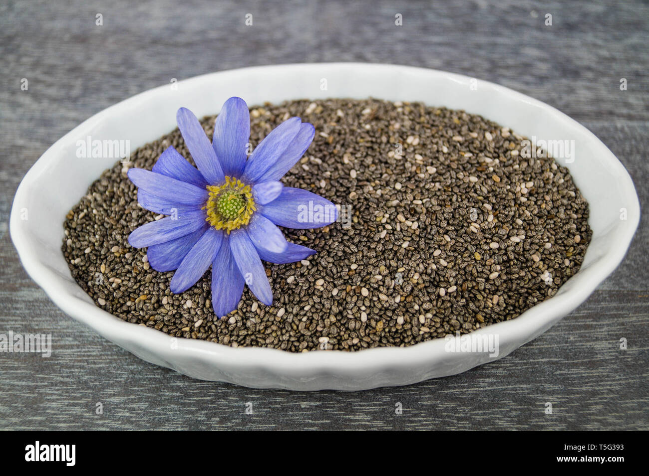 Superfood chia seeds Banque D'Images