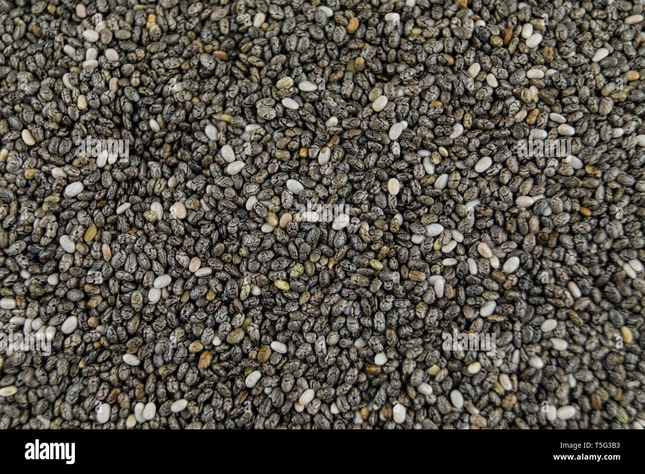 Superfood chia seeds Banque D'Images