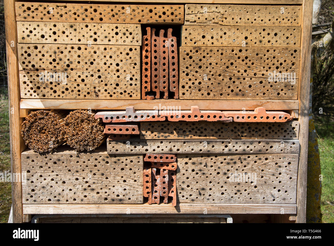 Bienenhotel, hôtel de l'abeille Banque D'Images