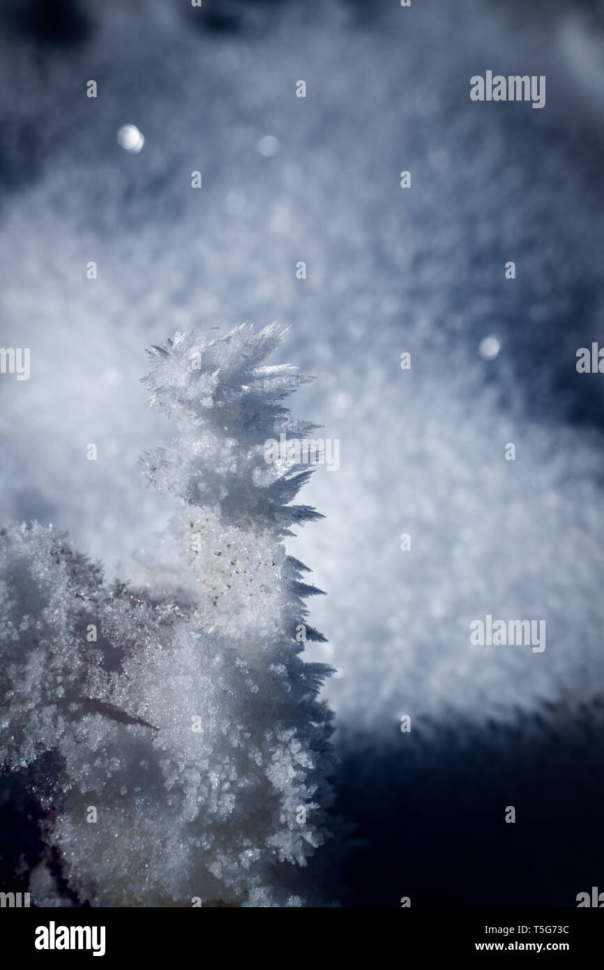 La neige et la glace naturelle en cristal alpes européennes en hiver froid par Sunshine Banque D'Images