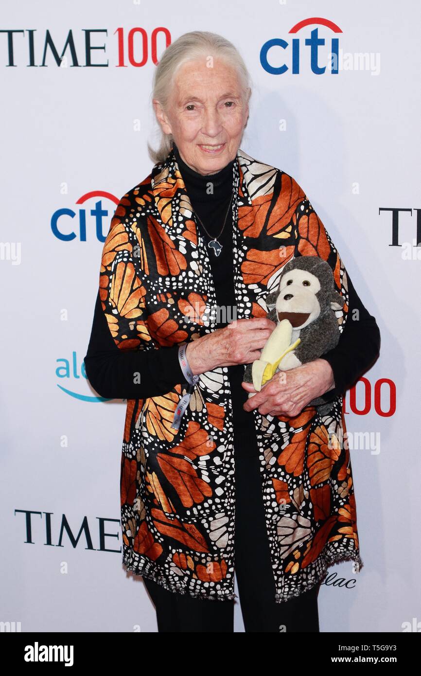 New York, NY, USA. Apr 23, 2019. Jane Goodall au moment 100 à 2019 Gala Jazz at Lincoln Center le 23 avril 2019 à New York. Crédit : Diego Corredor Punch/media/Alamy Live News Banque D'Images