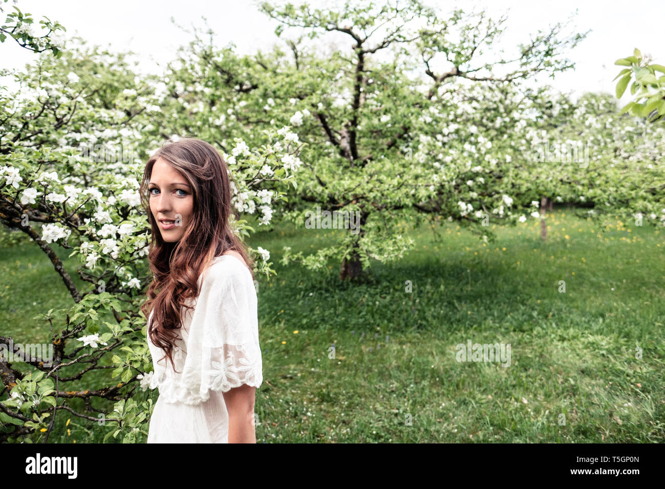 Portrait of smiling young woman in garden avec pommiers en fleurs Banque D'Images