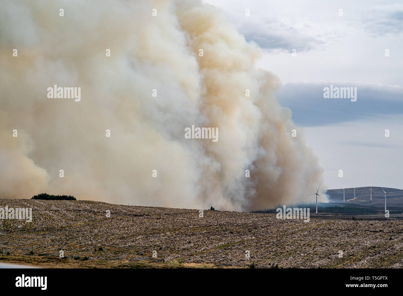 C'est de la rage de forêt s'étendant entre Knockando et Dunphail dans Moray, en Écosse, le mardi 23 avril 2019. Banque D'Images