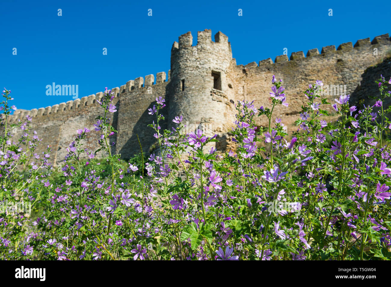 L'Ukraine, Bilhorod-Dnistrovskyi forteresse à la côte de la Mer Noire Banque D'Images