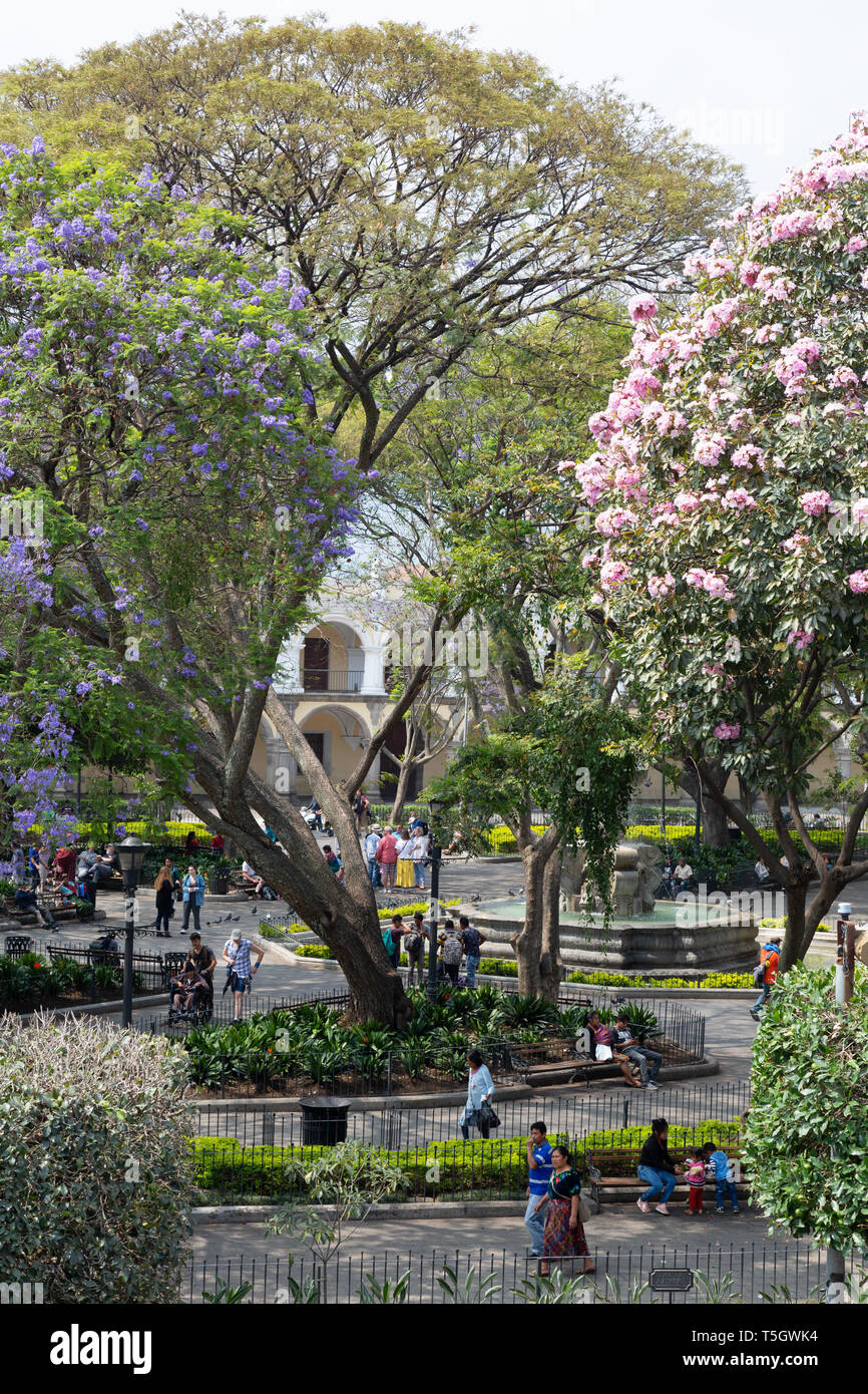 Parque Central, Antigua Guatemala Amérique Centrale - le parc de la place centrale Plaza Mayor ( ), Antigua Guatemala Amérique Latine Banque D'Images
