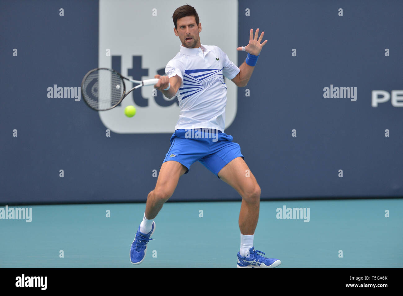 Miami 2019 Open day 6 présenté par Itau au Hard Rock Stadium comprend : Novak Djokovic Où : Miami Gardens, Florida, United States Quand : 24 Mar 2019 Crédit : Johnny Louis/WENN.com Banque D'Images