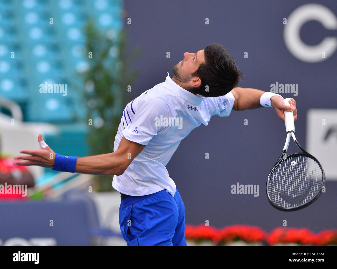 Miami 2019 Open day 6 présenté par Itau au Hard Rock Stadium comprend : Novak Djokovic Où : Miami Gardens, Florida, United States Quand : 24 Mar 2019 Crédit : Johnny Louis/WENN.com Banque D'Images