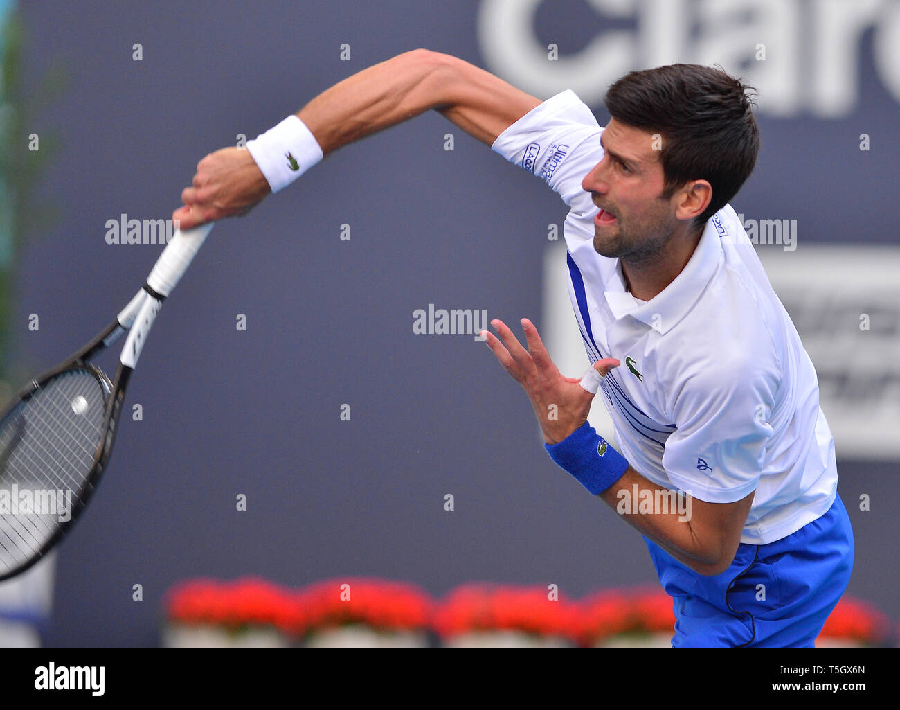 Miami 2019 Open day 6 présenté par Itau au Hard Rock Stadium comprend : Novak Djokovic Où : Miami Gardens, Florida, United States Quand : 24 Mar 2019 Crédit : Johnny Louis/WENN.com Banque D'Images