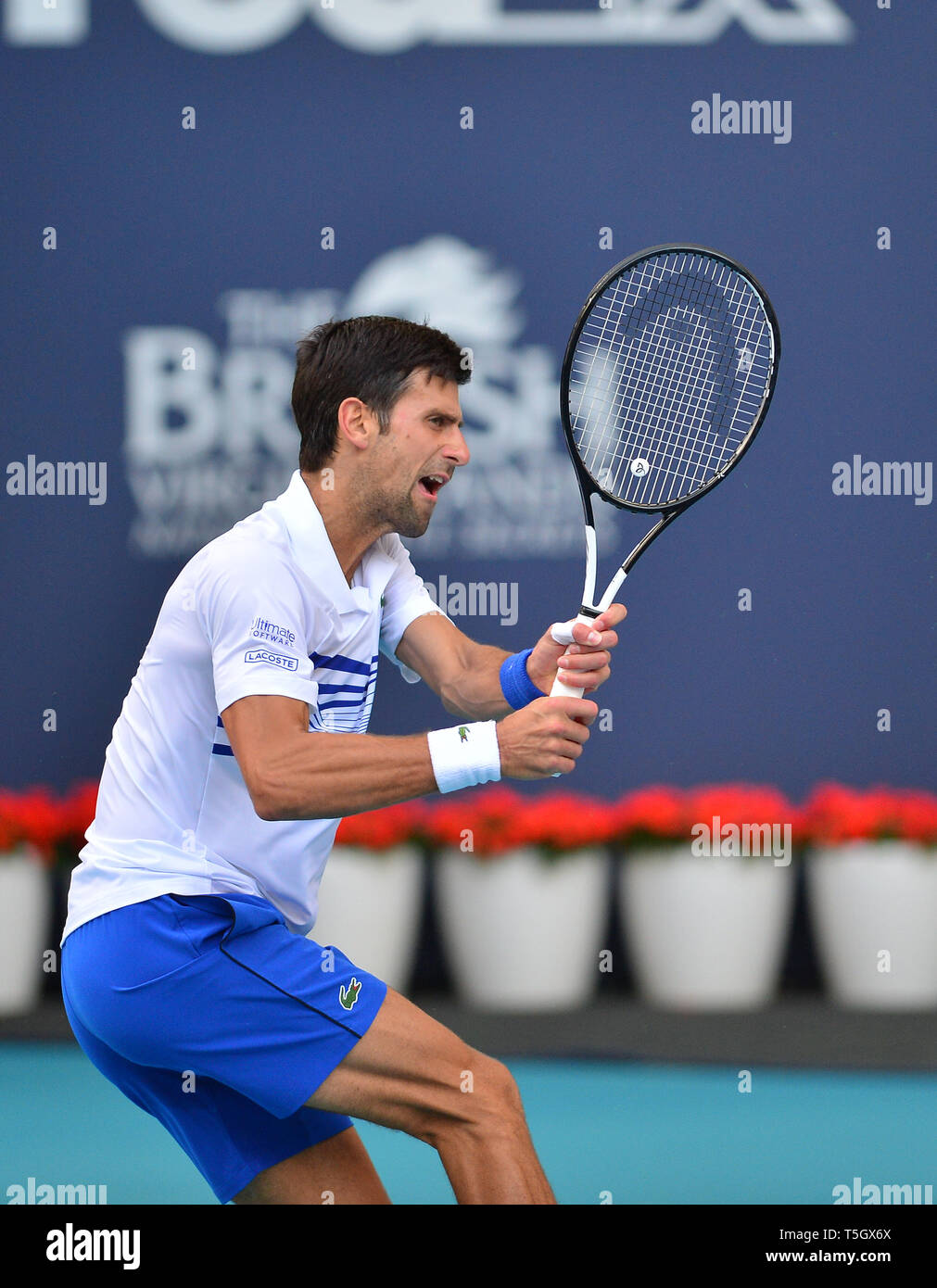 Miami 2019 Open day 6 présenté par Itau au Hard Rock Stadium comprend : Novak Djokovic Où : Miami Gardens, Florida, United States Quand : 24 Mar 2019 Crédit : Johnny Louis/WENN.com Banque D'Images