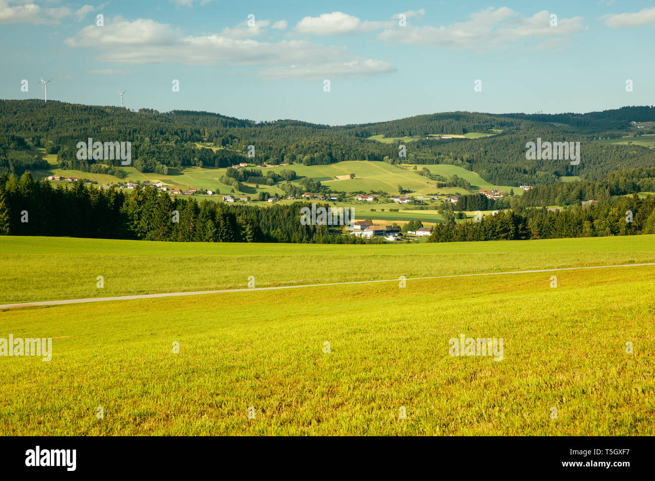 L'Autriche, Haute Autriche, Bad Leonfelden, Muehlviertel, Sternwald Banque D'Images