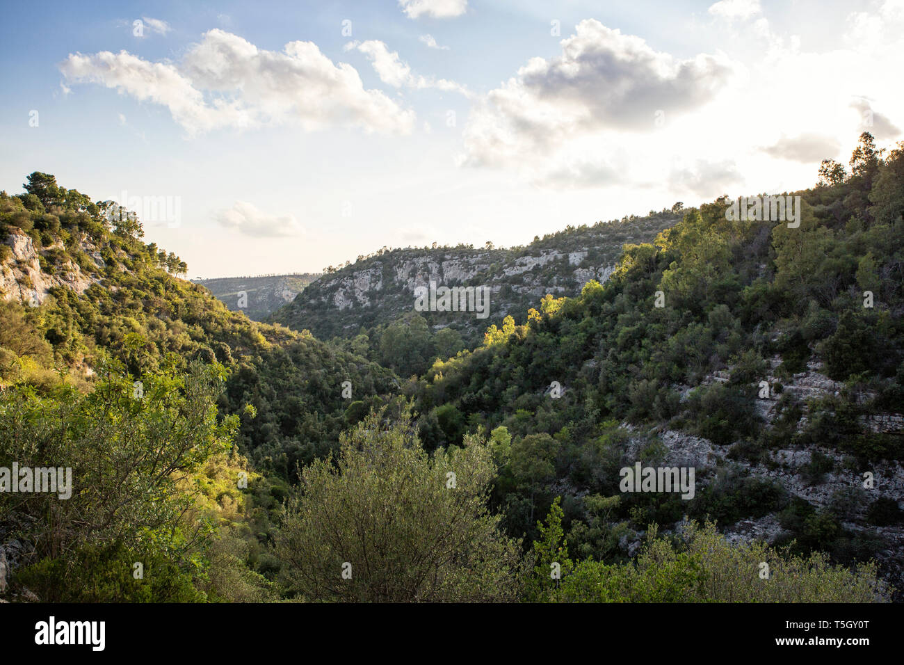 La Sicile, Province de Syracuse, Noto Antica, vue de canyon Cava del Carosello Banque D'Images