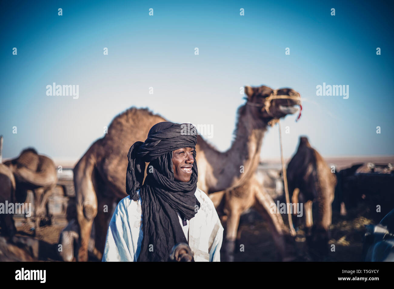 L'Afrique du Nord, le Sahara occidental, Banque D'Images