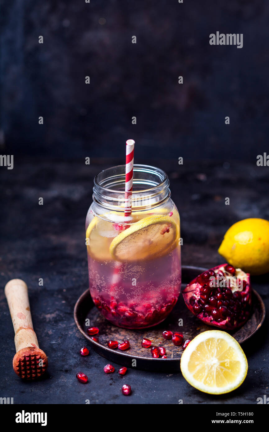 Fruit de l'eau infusée avec les tranches de citron, graines de grenade broyées et d'eau gazeuse Banque D'Images