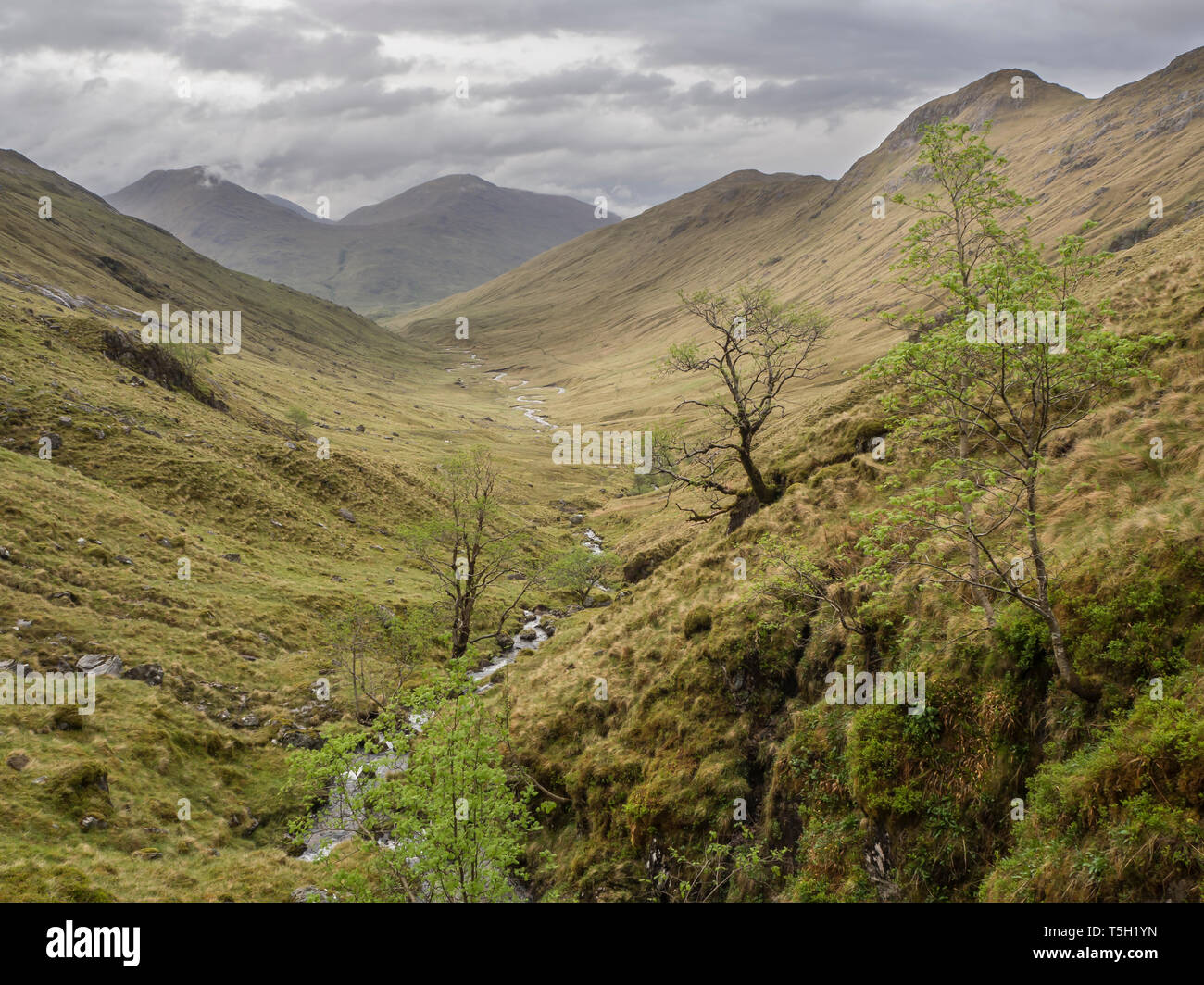 La Grande-Bretagne, l'Écosse, dans les Highlands, près de Glenfinnan Banque D'Images