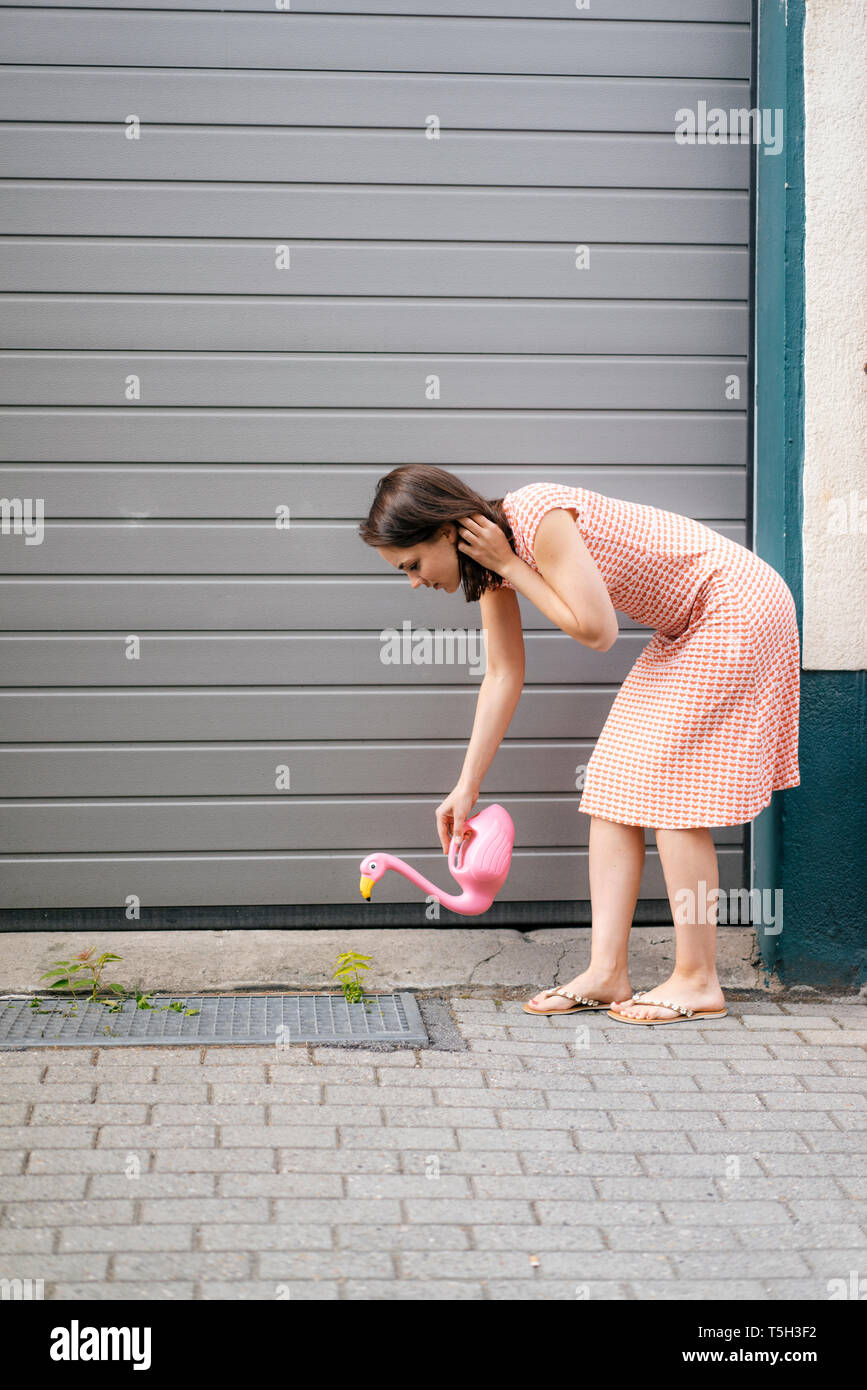 Arroser les plantes avec une femme peut flamingo en milieu urbain street Banque D'Images