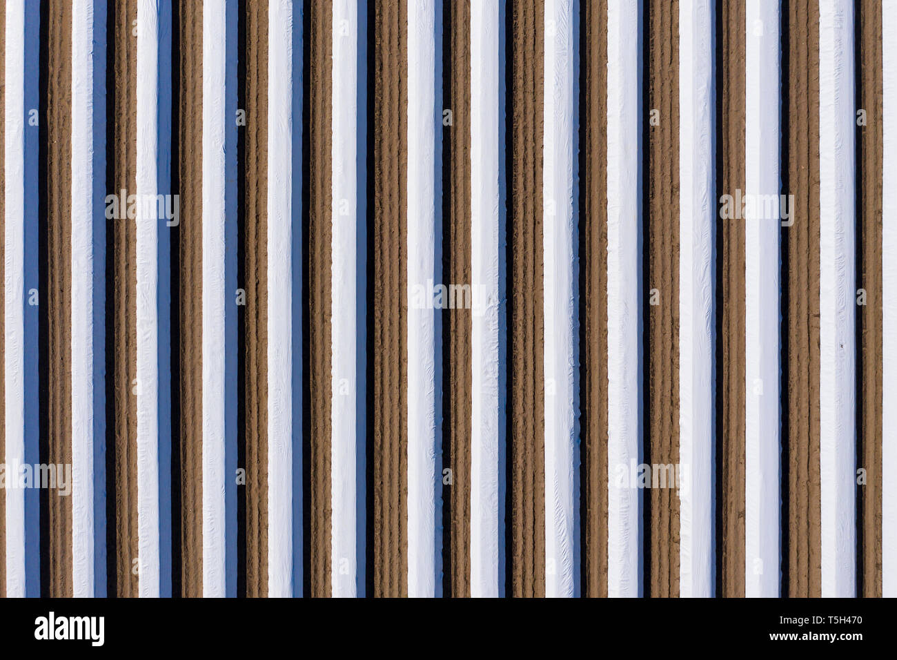 Allemagne, Hesse, vue aérienne du champ d'asperges avec avion blanc Banque D'Images